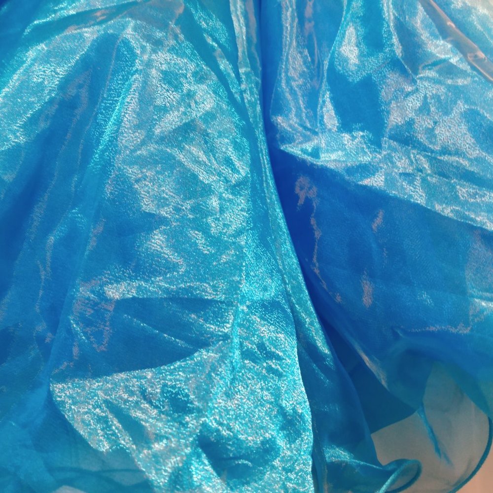 SOLD Puffy Blue Dance/Costume Skirt - Picture 4 of 4